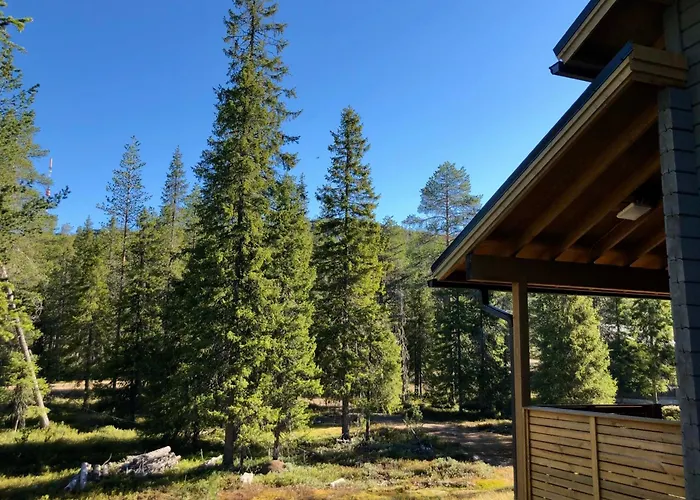 Petaejaehovi 度假居